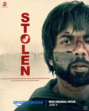 Stolen (2025) [Hindi]