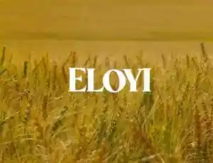 DJ Ngwazi – Eloyi Ft. Joocy & DJ Tira