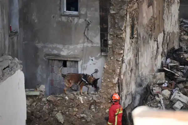 Two bodies found in French building collapse as rescue efforts continue