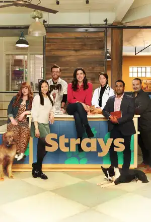 Strays Season 2