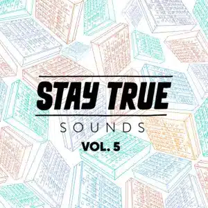 Stay True Sounds Vol.5 (Compiled by Kid Fonque) [Album]