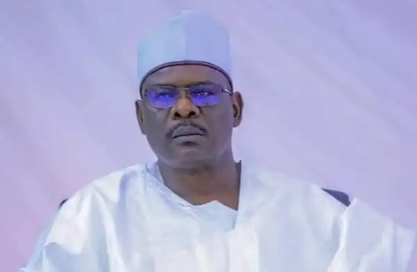 I Got More Monet Than Other Lawmakers - Senator Ndume Reacts To Claim Senators Were Given N500M