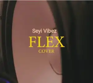 Seyi Vibez – Flex (Cover)