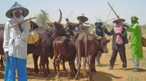 Again, suspected armed herdsmen invade Benue community, kill four