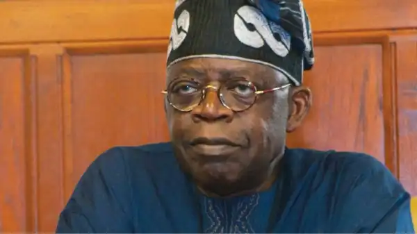 2023: Tinubu told to watch out for Osinbajo’s secret plots to outwit him, take over from Buhari