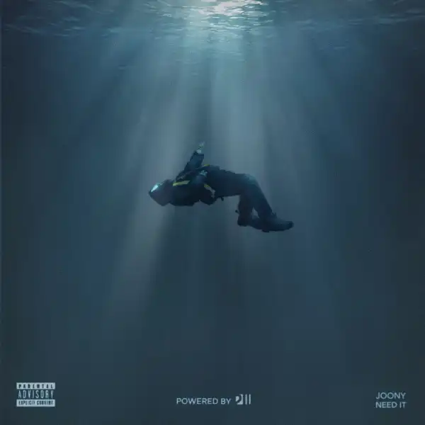 Joony – Need It