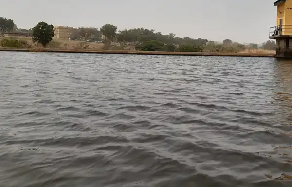 Man on drugs missing after falling into Delta river