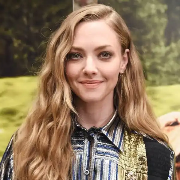 Net Worth Of Amanda Seyfried