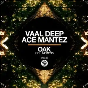 Vaal Deep & Ace Mantez – Oak (Original Mix)