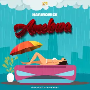 Harmonize – Amelowa