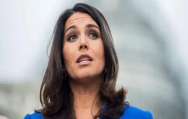 Age & Career Of Tulsi Gabbard