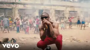 Vector – License (Video)