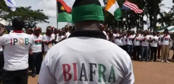 Return home for census, IPOB urges Igbo