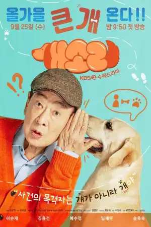 Dog Knows Everything S01 E10