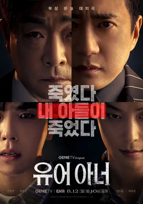 Your Honor (2024) [Korean] (TV series)