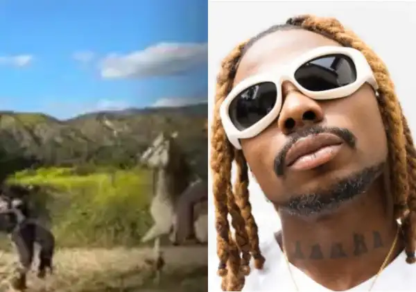 Video of singer Asake teaching horse how to dance goes viral