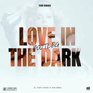 Team Sebenza – Love In The Dark (Bootleg)