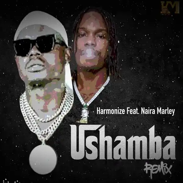 Harmonize – Ushamba (Remix) Ft. Naira Marley