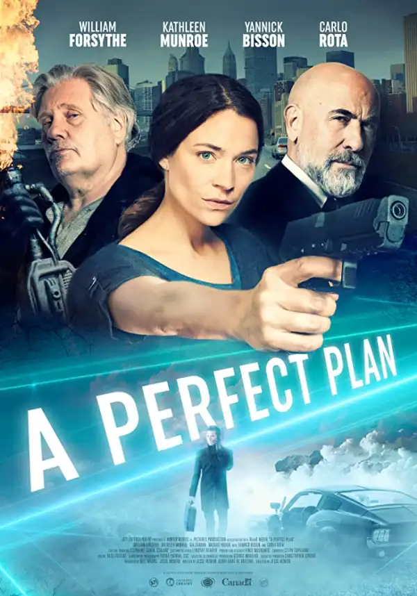 A Perfect Plan (2020) [Movie]