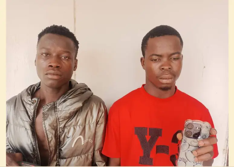 Adamawa police operatives track down bag snatchers, arrest 2