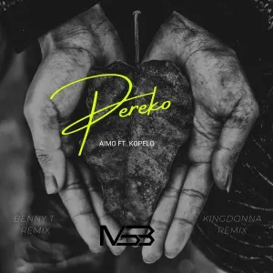 Aimo, Kopelo – Pereko (Benny T Remix)
