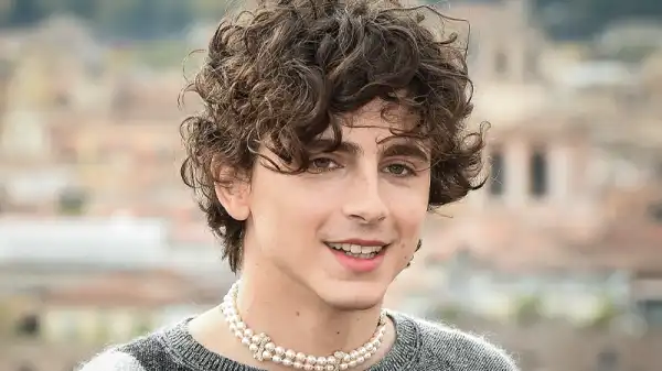 Going Electric: Timothée Chalamet-Led Bob Dylan Biopic Still in Development
