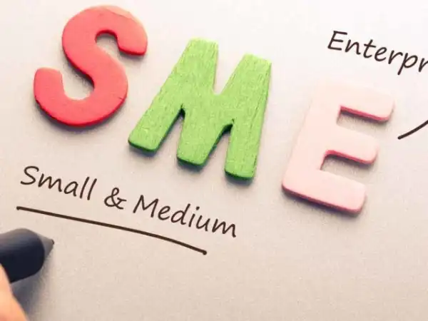Experts urge protection of SMEs in national economy