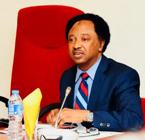 Shehu Sani Lost Kaduna PDP Governorship Primary, Gets Two Votes