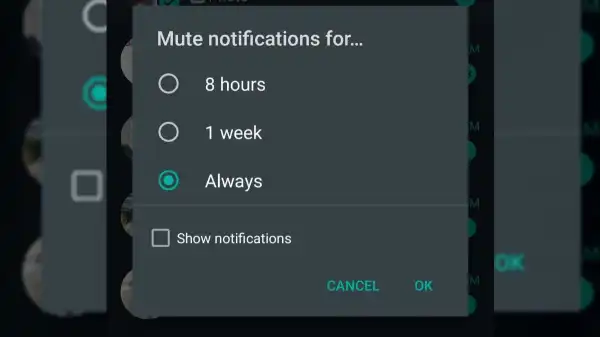 WhatsApp Enables Always Mute, New Storage UI, Media Guidelines Features in Latest Android Beta