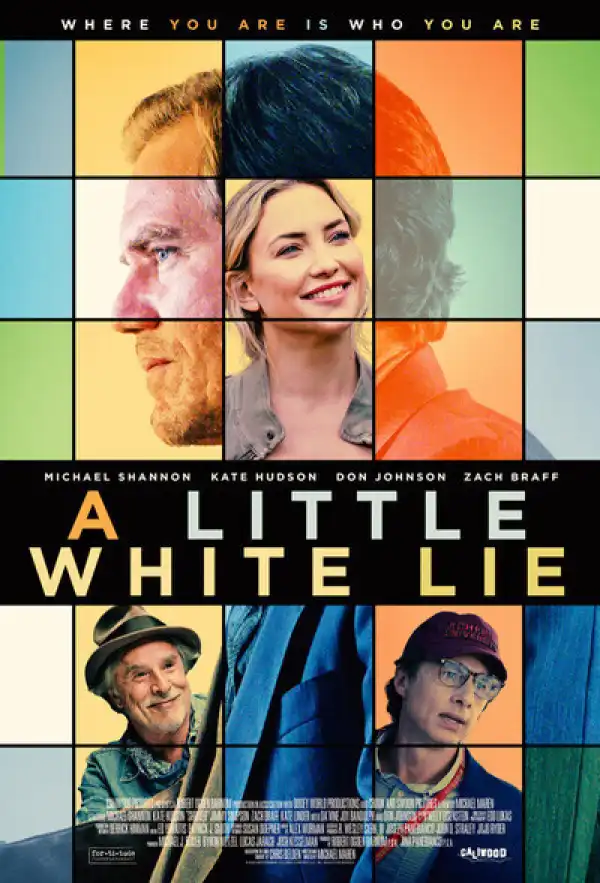 A Little White Lie (Shriver) (2023)