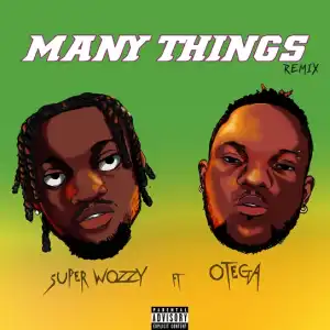SuperWozzy – So Many Things (Remix) ft. Otega