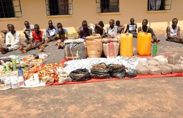 Police Arrest 52 Suspects, Recover Arms, Ammunition And Illicit Drugs Worth N3m In Adamawa (Photos)