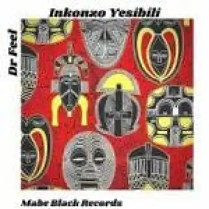 Dr Feel – Inkonzo Yesibili (Original Mix)