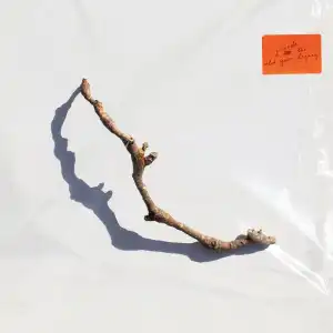 PJ Harvey - A Noiseless Noise