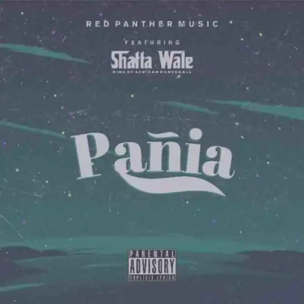 Shatta Wale – Pania