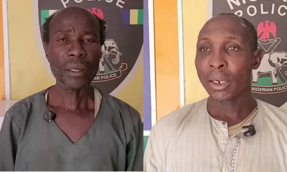 Two men arrested for sodomizing minors in Bauchi