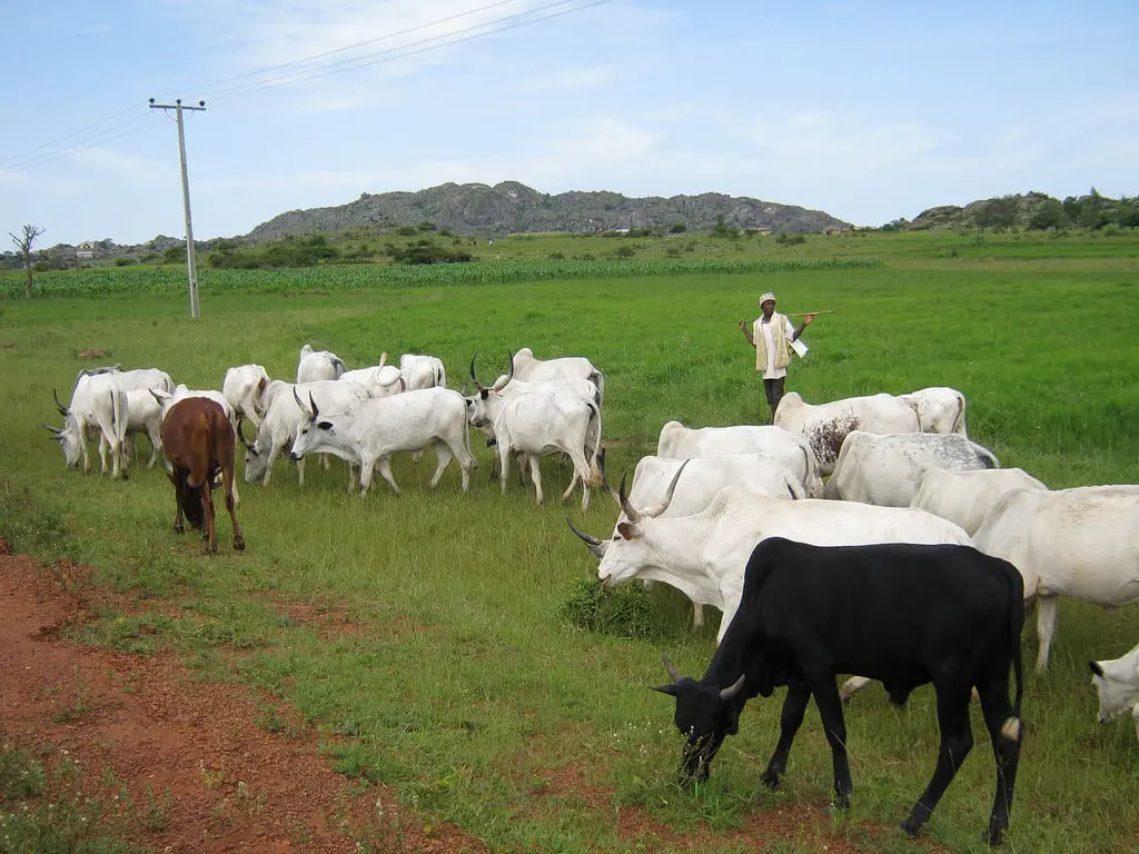 Over 80 communities taken over by Fulani terrorists in Benue, Plateau — Christian group raises alarm