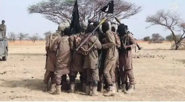 ISWAP Kills 8 Boko Haram Members During Rival Clash In Borno
