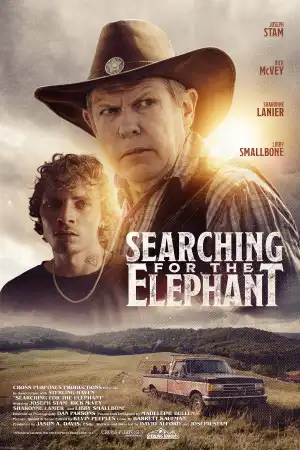 Searching For The Elephant (2024)