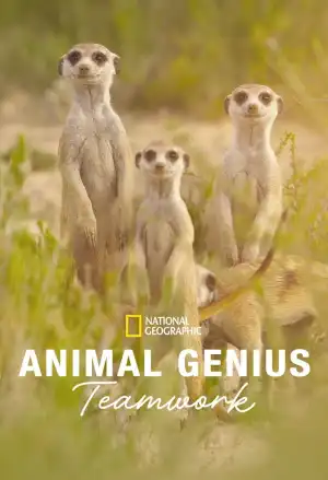 Animal Genius (2024 TV series)