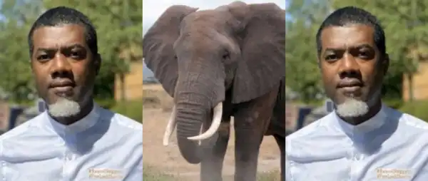 Mixed Reactions Trail Reno Omokri’s Story Of Being Chased By Elephant