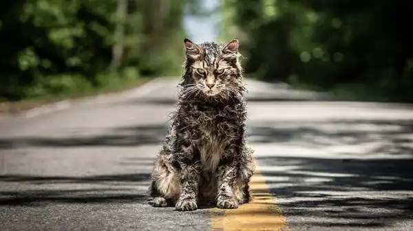 Paramount+’s Pet Sematary Prequel Adds Four Actors