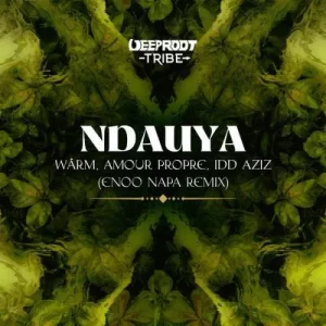 Warm, Amour Propre & Idd Aziz – Ndauya (Enoo Napa Remix)