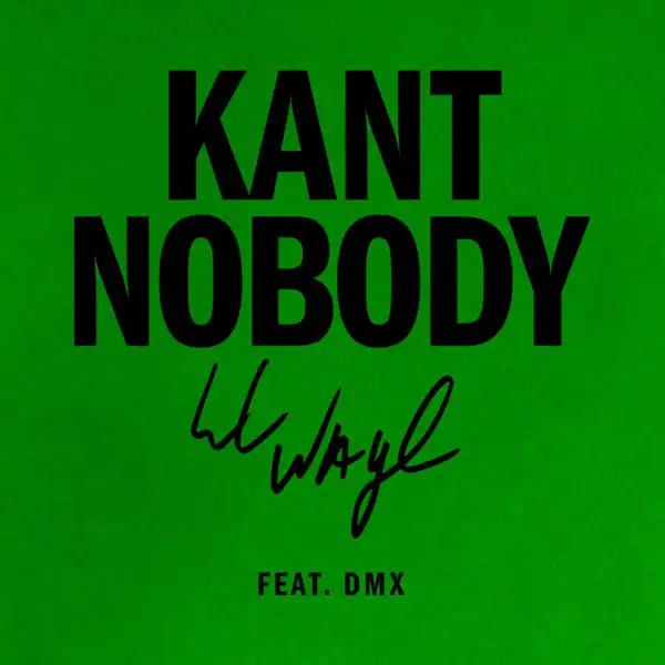 Lil Wayne - Kant Nobody ft. DMX