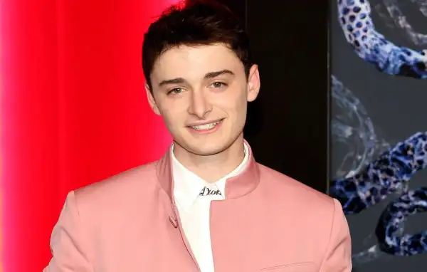 Age & Career Of Noah Schnapp