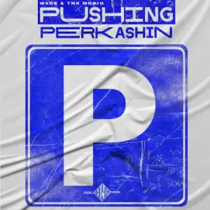 W4DE & TNK MusiQ – Pushing Perkashin