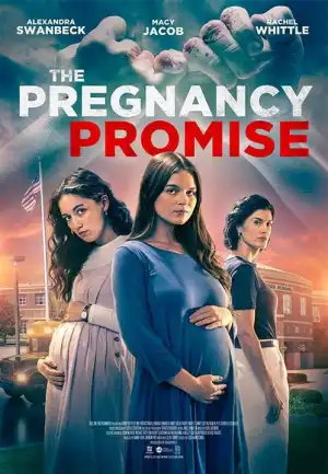 The Pregnancy Promise (2023)