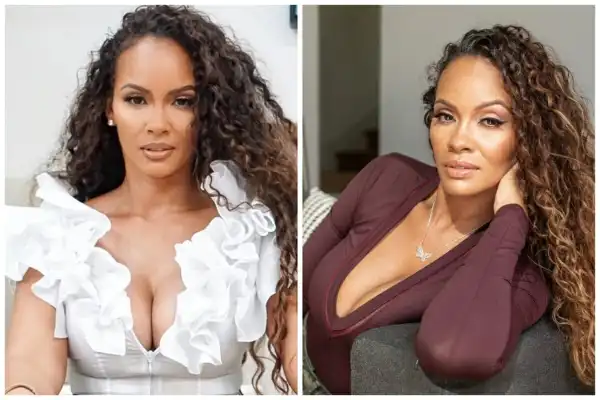Biography & Net Worth Of Evelyn Lozada