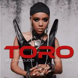 Sho Madjozi – Toro ft DDG