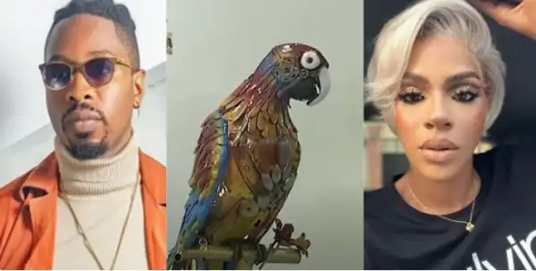 BBNaija All Stars: Big Brother’s Parrot Exposed Ike’s Secret To Housemates